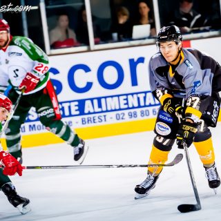 ALBATROS DE BREST VS LES JOKERS DE CERGY 12/01/2019 - © Marion BESCOND