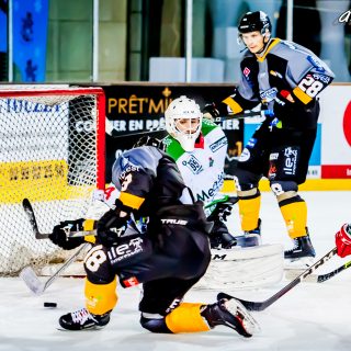 ALBATROS DE BREST VS LES JOKERS DE CERGY 12/01/2019 - © Marion BESCOND