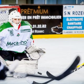 ALBATROS DE BREST VS LES JOKERS DE CERGY 12/01/2019 - © Marion BESCOND