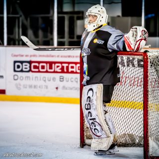 ALBATROS DE BREST VS LES JOKERS DE CERGY 12/01/2019 - © Marion BESCOND