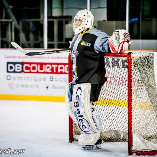 ALBATROS DE BREST VS LES JOKERS DE CERGY 12/01/2019 - © Marion BESCOND
