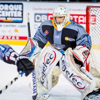 ALBATROS DE BREST VS LES JOKERS DE CERGY 12/01/2019 - © Marion BESCOND