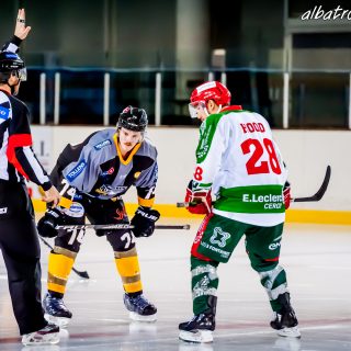 ALBATROS DE BREST VS LES JOKERS DE CERGY 12/01/2019 - © Marion BESCOND