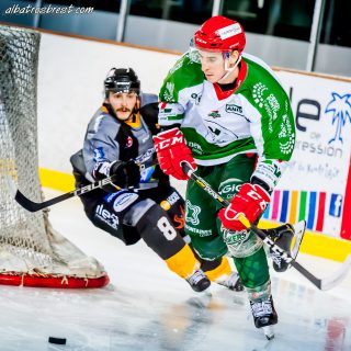 ALBATROS DE BREST VS LES JOKERS DE CERGY 12/01/2019 - © Marion BESCOND
