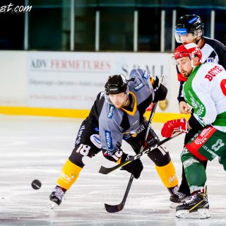 ALBATROS DE BREST VS LES JOKERS DE CERGY 12/01/2019 - © Marion BESCOND