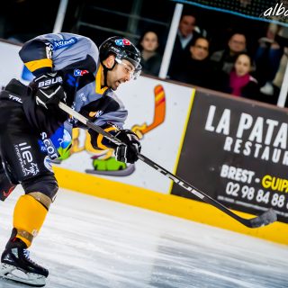 ALBATROS DE BREST VS LES JOKERS DE CERGY 12/01/2019 - © Marion BESCOND