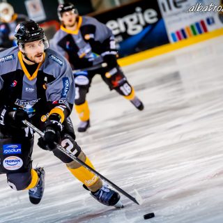 ALBATROS DE BREST VS LES JOKERS DE CERGY 12/01/2019 - © Marion BESCOND