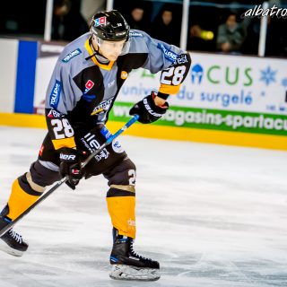 ALBATROS DE BREST VS LES JOKERS DE CERGY 12/01/2019 - © Marion BESCOND