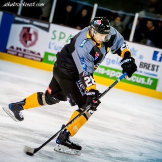 ALBATROS DE BREST VS LES JOKERS DE CERGY 12/01/2019 - © Marion BESCOND
