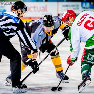 ALBATROS DE BREST VS LES JOKERS DE CERGY 12/01/2019 - © Marion BESCOND