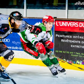 ALBATROS DE BREST VS LES JOKERS DE CERGY 12/01/2019 - © Marion BESCOND