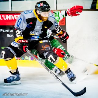 ALBATROS DE BREST VS LES JOKERS DE CERGY 12/01/2019 - © Marion BESCOND