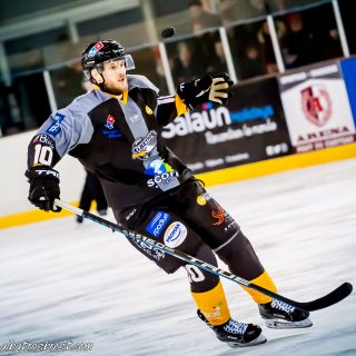 ALBATROS DE BREST VS LES JOKERS DE CERGY 12/01/2019 - © Marion BESCOND