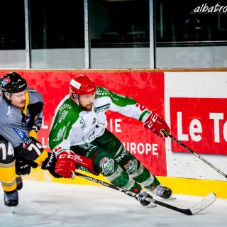 ALBATROS DE BREST VS LES JOKERS DE CERGY 12/01/2019 - © Marion BESCOND
