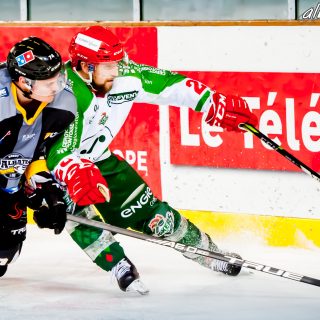 ALBATROS DE BREST VS LES JOKERS DE CERGY 12/01/2019 - © Marion BESCOND