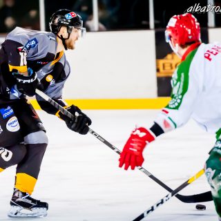 ALBATROS DE BREST VS LES JOKERS DE CERGY 12/01/2019 - © Marion BESCOND