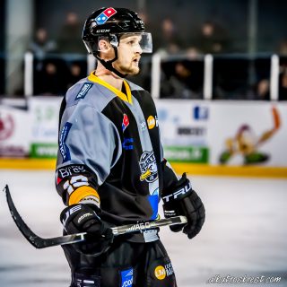 ALBATROS DE BREST VS LES JOKERS DE CERGY 12/01/2019 - © Marion BESCOND