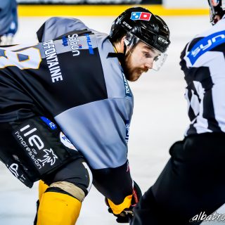 ALBATROS DE BREST VS LES JOKERS DE CERGY 12/01/2019 - © Marion BESCOND