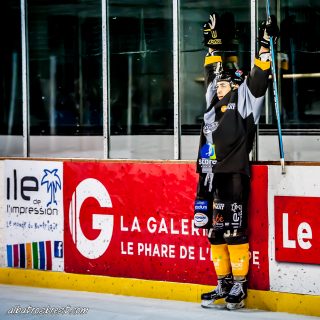 ALBATROS DE BREST VS LES JOKERS DE CERGY 12/01/2019 - © Marion BESCOND
