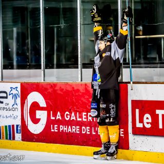 ALBATROS DE BREST VS LES JOKERS DE CERGY 12/01/2019 - © Marion BESCOND