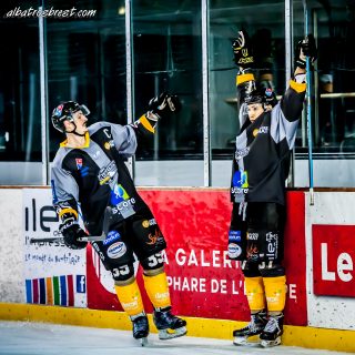 ALBATROS DE BREST VS LES JOKERS DE CERGY 12/01/2019 - © Marion BESCOND