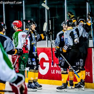 ALBATROS DE BREST VS LES JOKERS DE CERGY 12/01/2019 - © Marion BESCOND