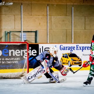 ALBATROS DE BREST VS LES JOKERS DE CERGY 12/01/2019 - © Marion BESCOND