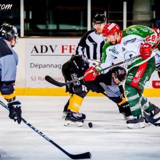 ALBATROS DE BREST VS LES JOKERS DE CERGY 12/01/2019 - © Marion BESCOND