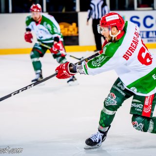 ALBATROS DE BREST VS LES JOKERS DE CERGY 12/01/2019 - © Marion BESCOND