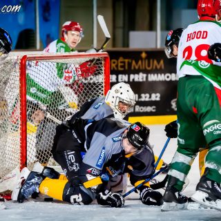 ALBATROS DE BREST VS LES JOKERS DE CERGY 12/01/2019 - © Marion BESCOND