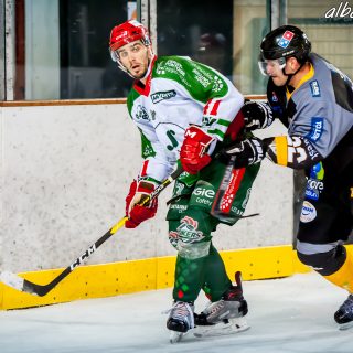 ALBATROS DE BREST VS LES JOKERS DE CERGY 12/01/2019 - © Marion BESCOND