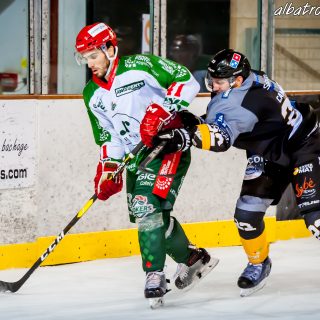 ALBATROS DE BREST VS LES JOKERS DE CERGY 12/01/2019 - © Marion BESCOND