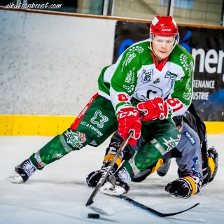 ALBATROS DE BREST VS LES JOKERS DE CERGY 12/01/2019 - © Marion BESCOND