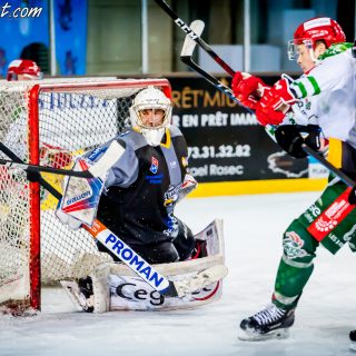 ALBATROS DE BREST VS LES JOKERS DE CERGY 12/01/2019 - © Marion BESCOND