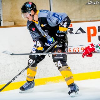 ALBATROS DE BREST VS LES JOKERS DE CERGY 12/01/2019 - © Marion BESCOND