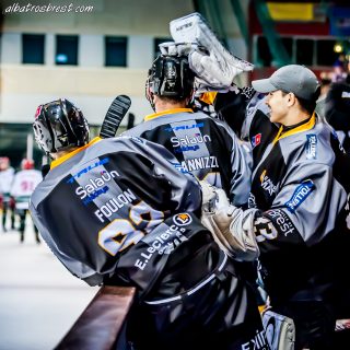 ALBATROS DE BREST VS LES JOKERS DE CERGY 12/01/2019 - © Marion BESCOND
