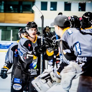 ALBATROS DE BREST VS LES JOKERS DE CERGY 12/01/2019 - © Marion BESCOND