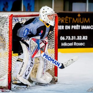 ALBATROS DE BREST VS LES JOKERS DE CERGY 12/01/2019 - © Marion BESCOND