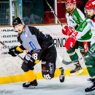 ALBATROS DE BREST VS LES JOKERS DE CERGY 12/01/2019 - © Marion BESCOND