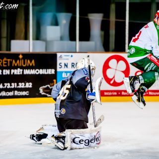 ALBATROS DE BREST VS LES JOKERS DE CERGY 12/01/2019 - © Marion BESCOND