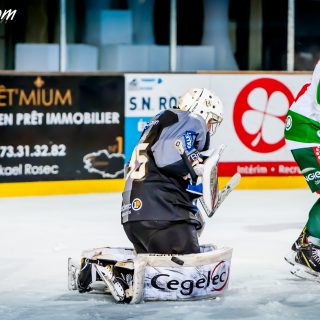 ALBATROS DE BREST VS LES JOKERS DE CERGY 12/01/2019 - © Marion BESCOND