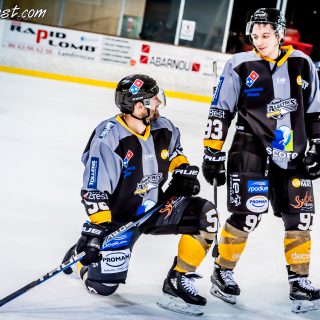 ALBATROS DE BREST VS LES JOKERS DE CERGY 12/01/2019 - © Marion BESCOND
