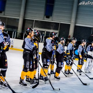 ALBATROS DE BREST VS LES JOKERS DE CERGY 12/01/2019 - © Marion BESCOND