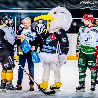 ALBATROS DE BREST VS LES JOKERS DE CERGY 12/01/2019 - © Marion BESCOND