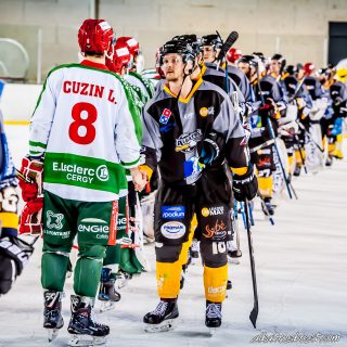 ALBATROS DE BREST VS LES JOKERS DE CERGY 12/01/2019 - © Marion BESCOND