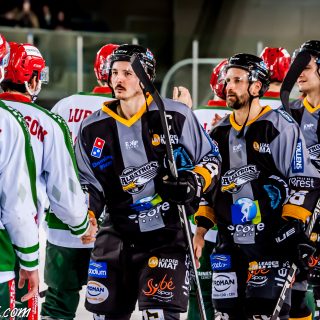 ALBATROS DE BREST VS LES JOKERS DE CERGY 12/01/2019 - © Marion BESCOND