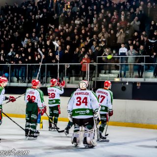 ALBATROS DE BREST VS LES JOKERS DE CERGY 12/01/2019 - © Marion BESCOND