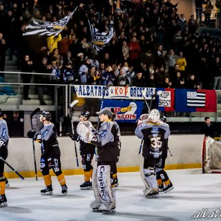 ALBATROS DE BREST VS LES JOKERS DE CERGY 12/01/2019 - © Marion BESCOND