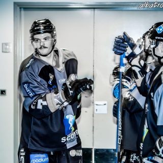 ALBATROS DE BREST VS LES DRAKKARS DE CAEN 02/02/19 - © Marion BESCOND