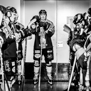 ALBATROS DE BREST VS LES DRAKKARS DE CAEN 02/02/19 - © Marion BESCOND